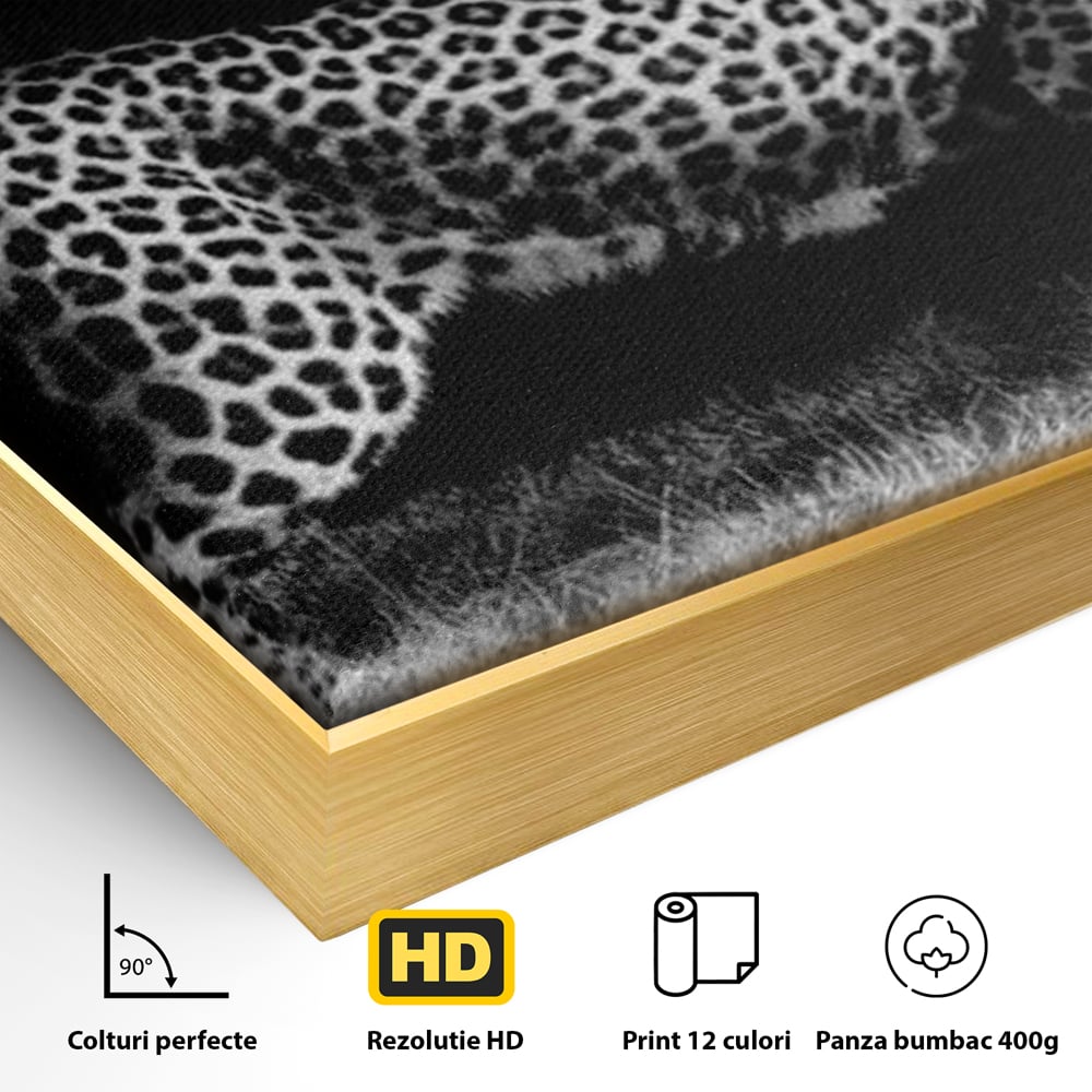 Tablou Canvas Premium, LuxCanva® M1175, Regele Nevazut, Jaguar, Nocturn, Felina, Vanatoare, Animal, Salbaticie, Jungla, Alb si Negru, Captura, Putere, Birou, Living, Camera Copil