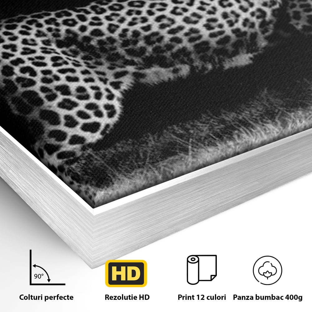 Tablou Canvas Premium, LuxCanva® M1175, Regele Nevazut, Jaguar, Nocturn, Felina, Vanatoare, Animal, Salbaticie, Jungla, Alb si Negru, Captura, Putere, Birou, Living, Camera Copil