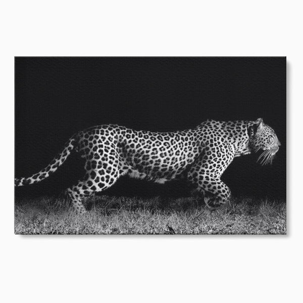 Tablou Canvas Premium, LuxCanva® M1175, Regele Nevazut, Jaguar, Nocturn, Felina, Vanatoare, Animal, Salbaticie, Jungla, Alb si Negru, Captura, Putere, Birou, Living, Camera Copil