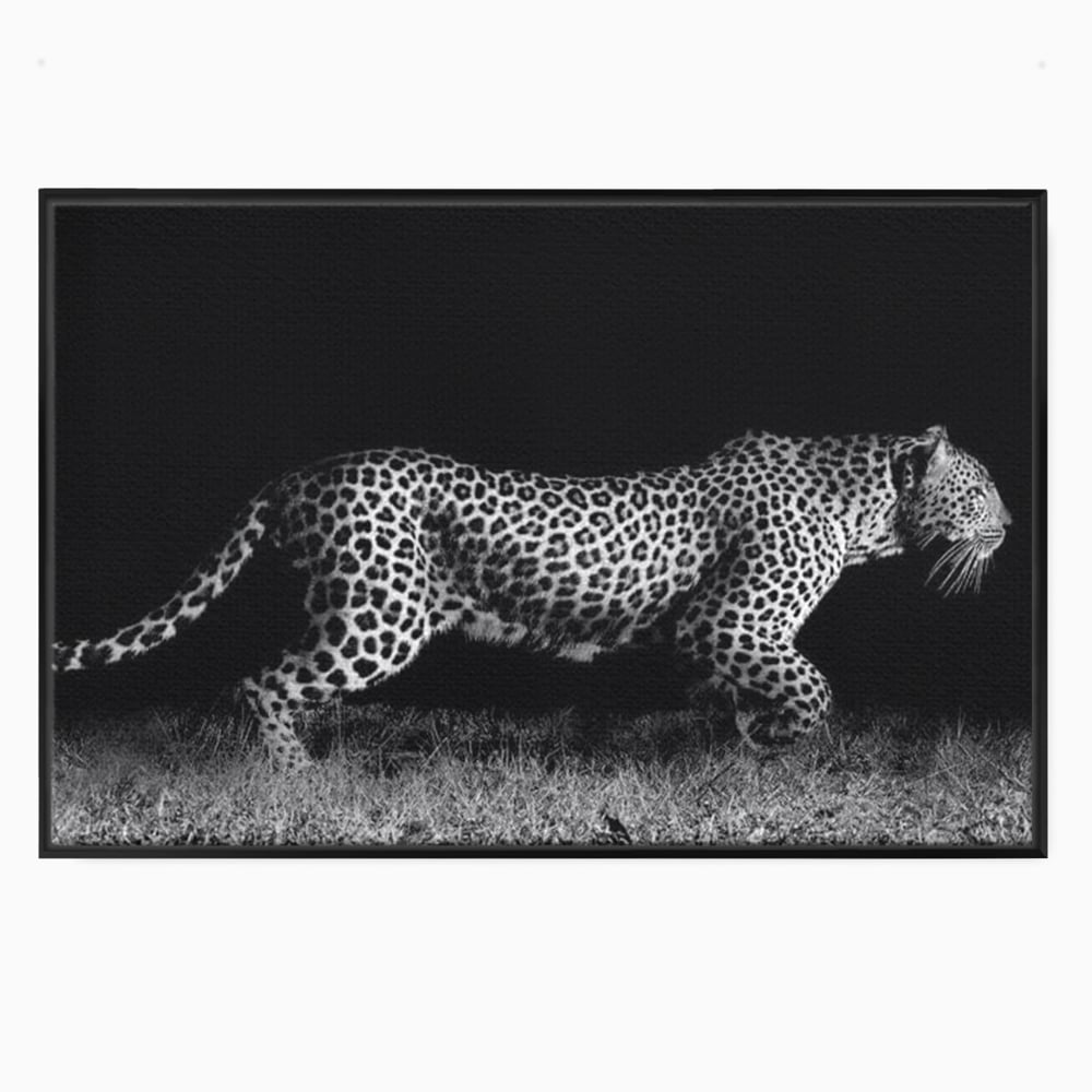 Tablou Canvas Premium, LuxCanva® M1175, Regele Nevazut, Jaguar, Nocturn, Felina, Vanatoare, Animal, Salbaticie, Jungla, Alb si Negru, Captura, Putere, Birou, Living, Camera Copil