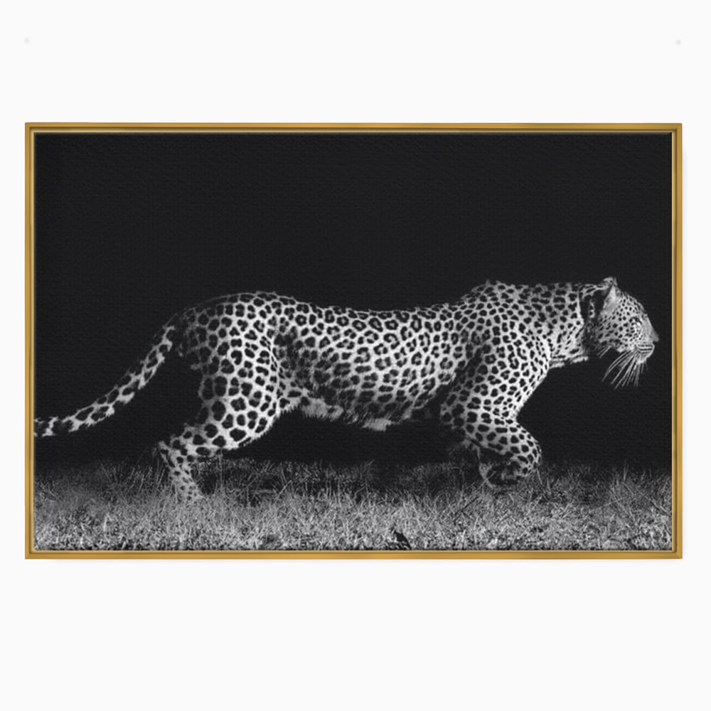Tablou Canvas Premium, LuxCanva® M1175, Regele Nevazut, Jaguar, Nocturn, Felina, Vanatoare, Animal, Salbaticie, Jungla, Alb si Negru, Captura, Putere, Birou, Living, Camera Copil