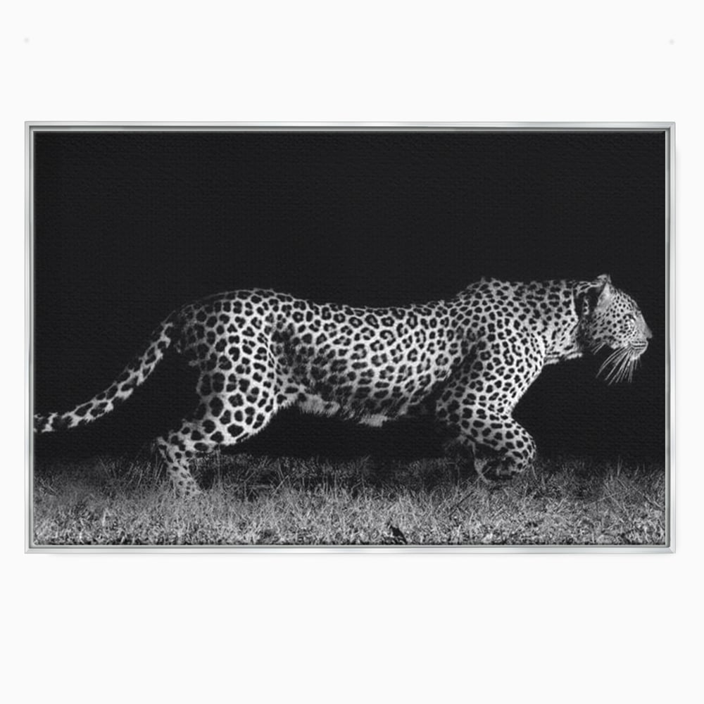 Tablou Canvas Premium, LuxCanva® M1175, Regele Nevazut, Jaguar, Nocturn, Felina, Vanatoare, Animal, Salbaticie, Jungla, Alb si Negru, Captura, Putere, Birou, Living, Camera Copil