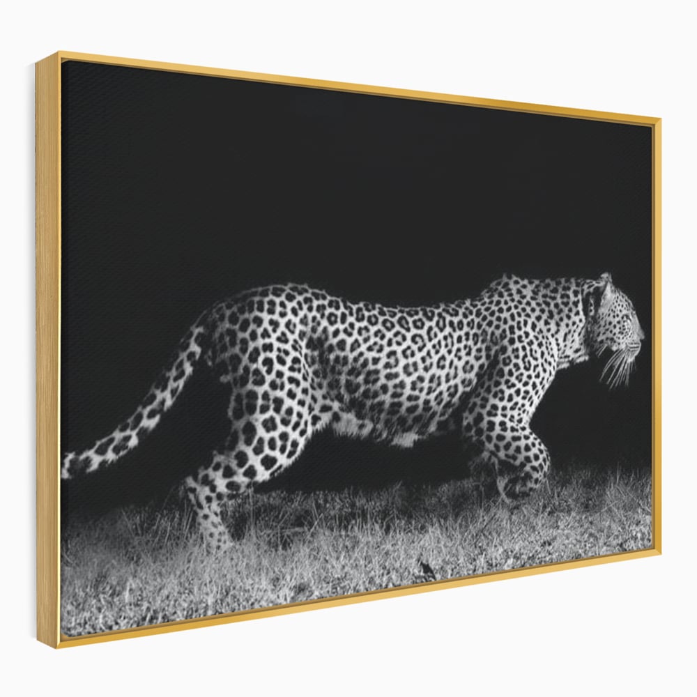 Tablou Canvas Premium, LuxCanva® M1175, Regele Nevazut, Jaguar, Nocturn, Felina, Vanatoare, Animal, Salbaticie, Jungla, Alb si Negru, Captura, Putere, Birou, Living, Camera Copil