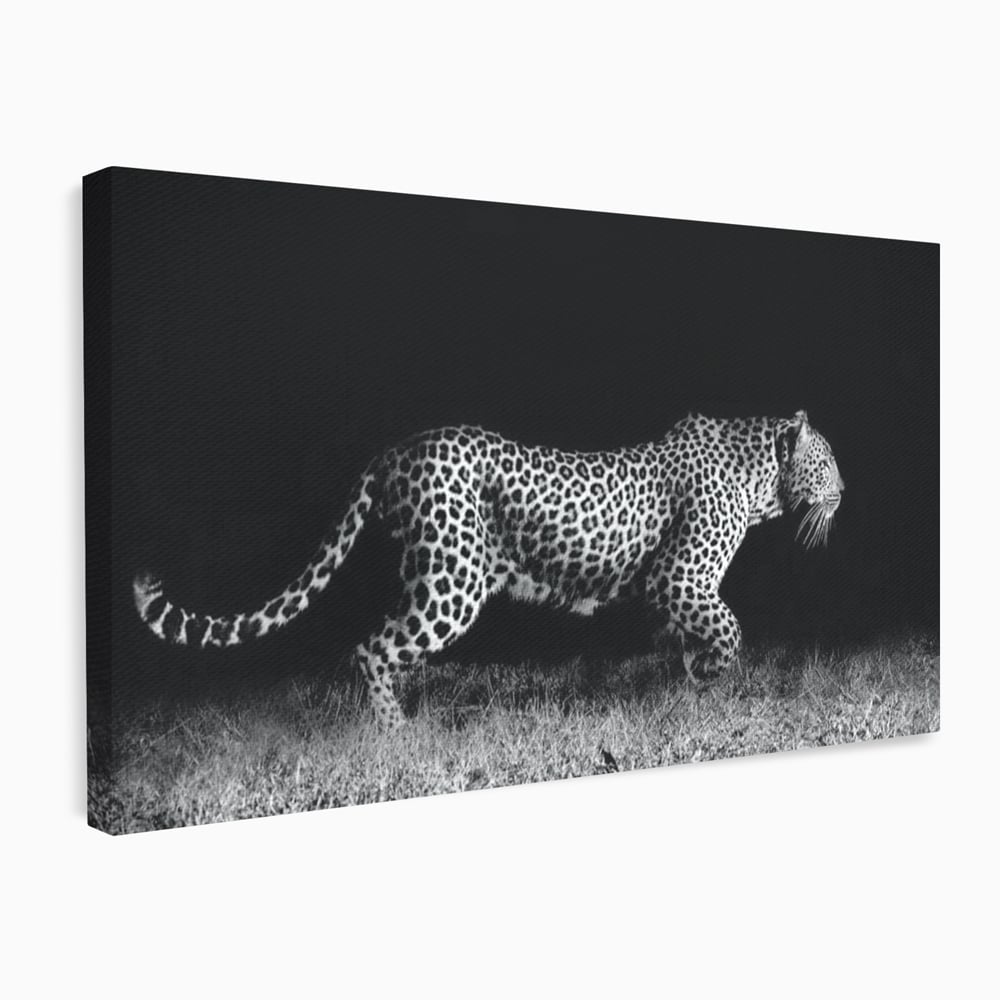 Tablou Canvas Premium, LuxCanva® M1175, Regele Nevazut, Jaguar, Nocturn, Felina, Vanatoare, Animal, Salbaticie, Jungla, Alb si Negru, Captura, Putere, Birou, Living, Camera Copil