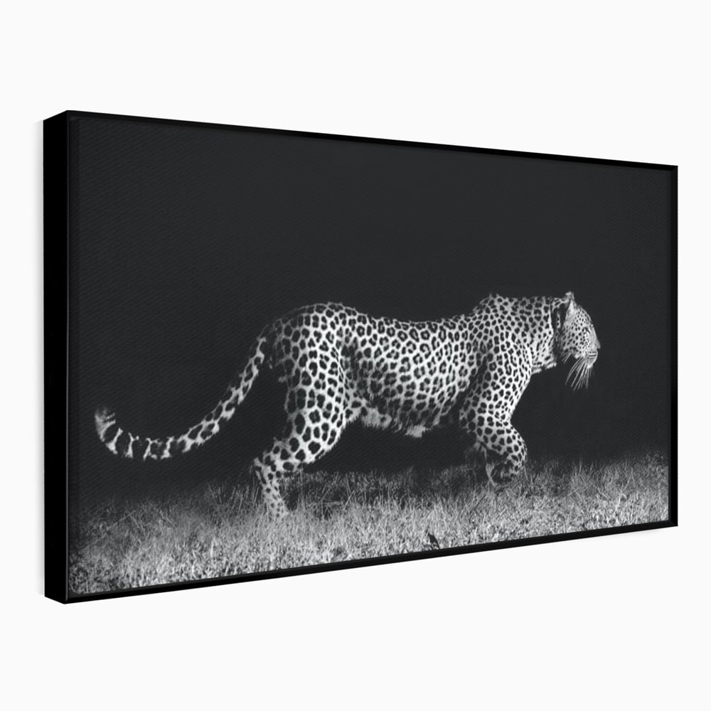 Tablou Canvas Premium, LuxCanva® M1175, Regele Nevazut, Jaguar, Nocturn, Felina, Vanatoare, Animal, Salbaticie, Jungla, Alb si Negru, Captura, Putere, Birou, Living, Camera Copil