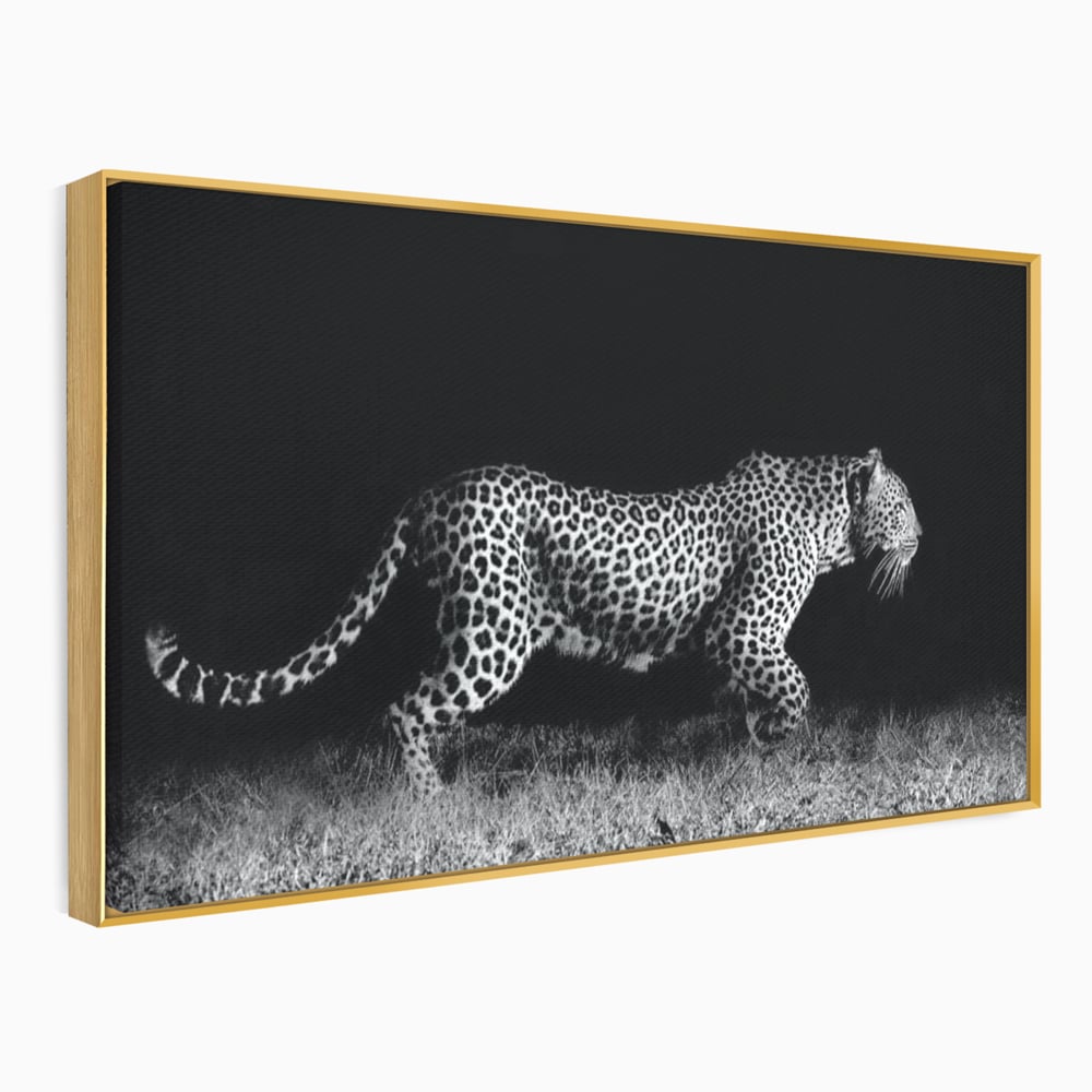 Tablou Canvas Premium, LuxCanva® M1175, Regele Nevazut, Jaguar, Nocturn, Felina, Vanatoare, Animal, Salbaticie, Jungla, Alb si Negru, Captura, Putere, Birou, Living, Camera Copil