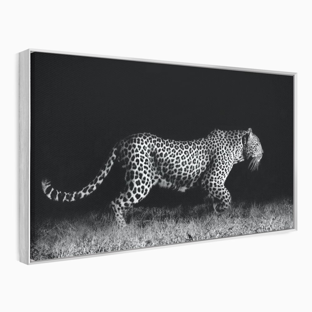 Tablou Canvas Premium, LuxCanva® M1175, Regele Nevazut, Jaguar, Nocturn, Felina, Vanatoare, Animal, Salbaticie, Jungla, Alb si Negru, Captura, Putere, Birou, Living, Camera Copil