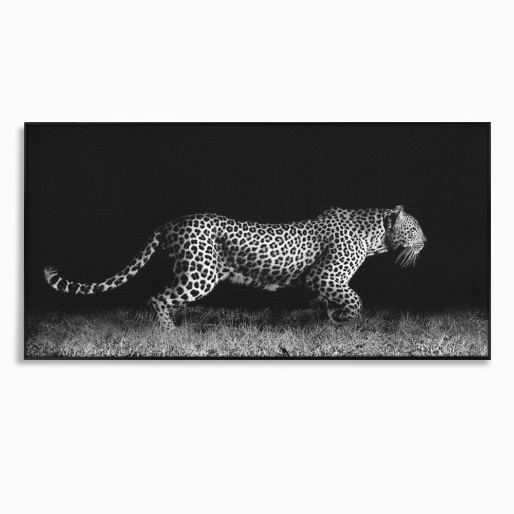 Tablou Canvas Premium, LuxCanva® M1175, Regele Nevazut, Jaguar, Nocturn, Felina, Vanatoare, Animal, Salbaticie, Jungla, Alb si Negru, Captura, Putere, Birou, Living, Camera Copil