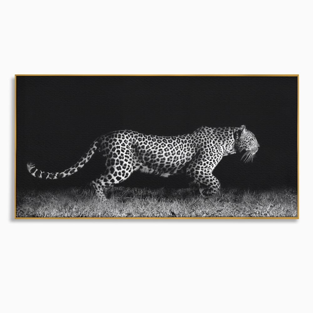 Tablou Canvas Premium, LuxCanva® M1175, Regele Nevazut, Jaguar, Nocturn, Felina, Vanatoare, Animal, Salbaticie, Jungla, Alb si Negru, Captura, Putere, Birou, Living, Camera Copil
