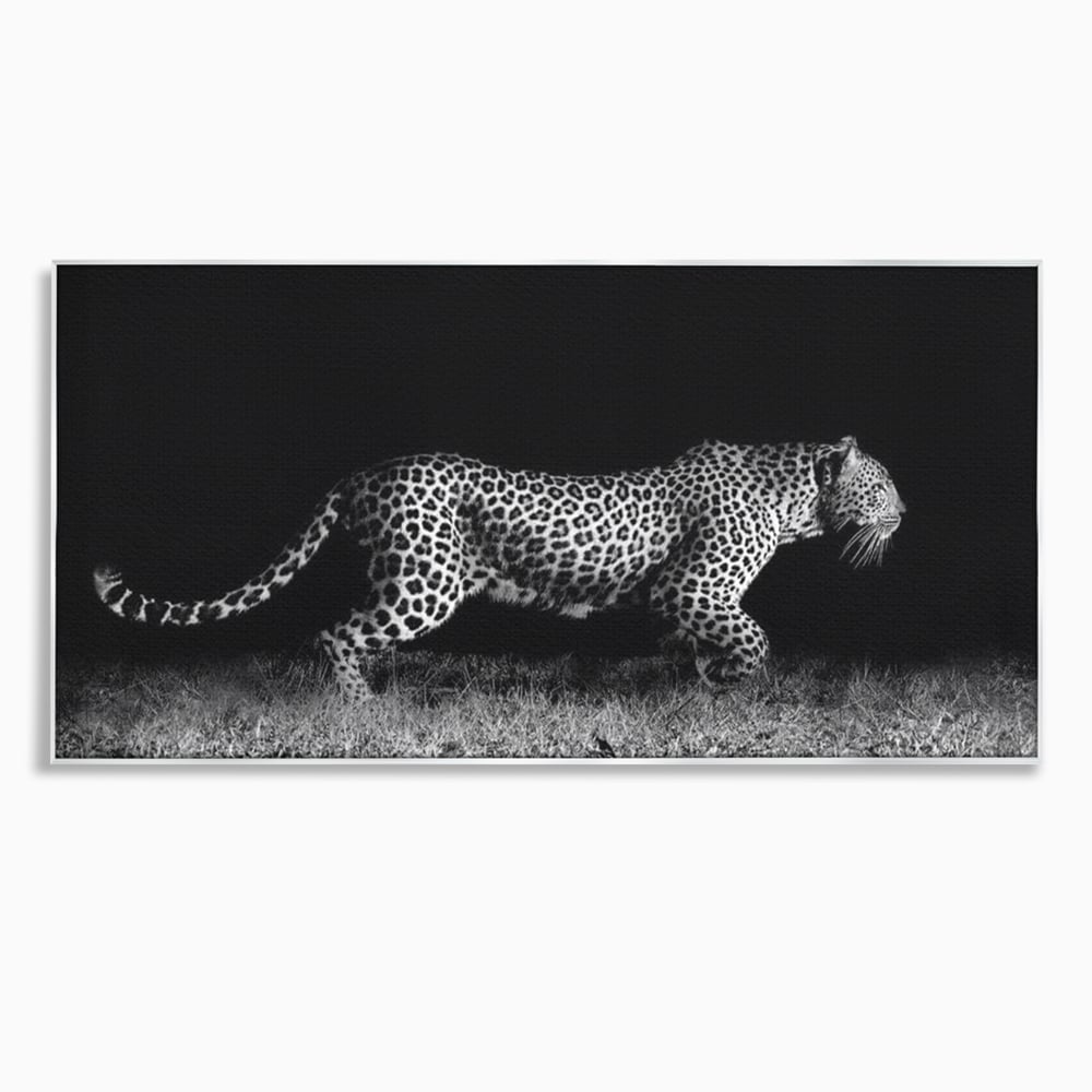 Tablou Canvas Premium, LuxCanva® M1175, Regele Nevazut, Jaguar, Nocturn, Felina, Vanatoare, Animal, Salbaticie, Jungla, Alb si Negru, Captura, Putere, Birou, Living, Camera Copil