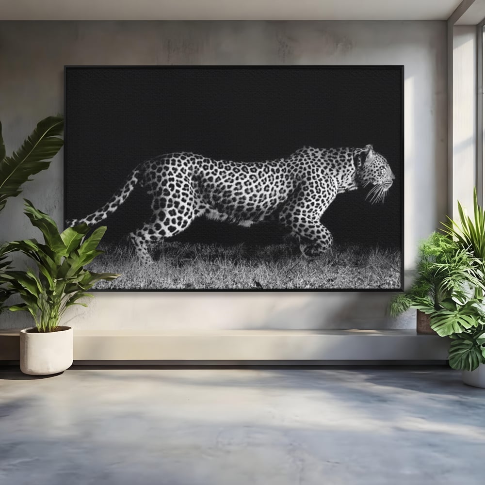 Tablou Canvas Premium, LuxCanva® M1175, Regele Nevazut, Jaguar, Nocturn, Felina, Vanatoare, Animal, Salbaticie, Jungla, Alb si Negru, Captura, Putere, Birou, Living, Camera Copil
