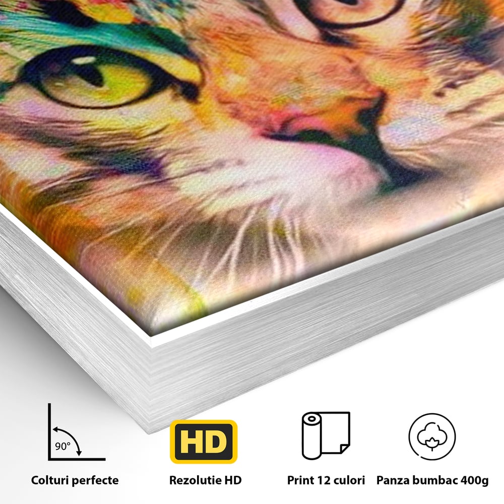 Tablou Canvas Premium, LuxCanva® M1176, Ganduri Colorate, Multicolor, Graffiti, Street Art, Pisica, Privire, Modern, Urban, Neon, Abstract, Energie, Birou, Living, Camera Copil