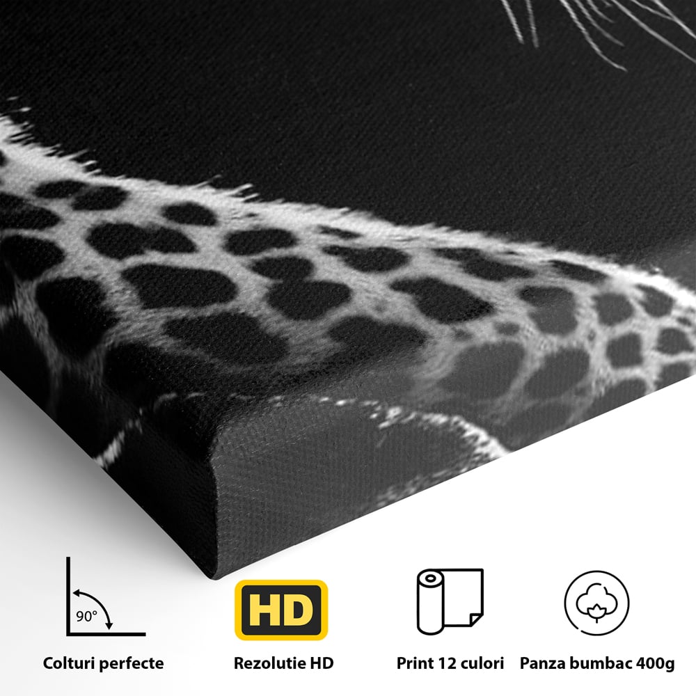 Tablou Canvas Premium, LuxCanva® M1178, Clipa de Atac, Leopard, Vanator, Salbatic, Alb si Negru, Profil, Felina, Portret, Atac, Realist, Puternic, Birou, Living, Camera Copil