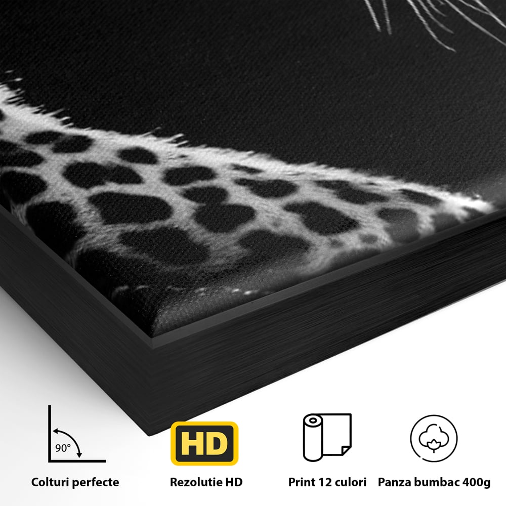 Tablou Canvas Premium, LuxCanva® M1178, Clipa de Atac, Leopard, Vanator, Salbatic, Alb si Negru, Profil, Felina, Portret, Atac, Realist, Puternic, Birou, Living, Camera Copil