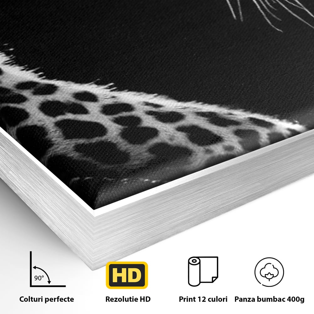 Tablou Canvas Premium, LuxCanva® M1178, Clipa de Atac, Leopard, Vanator, Salbatic, Alb si Negru, Profil, Felina, Portret, Atac, Realist, Puternic, Birou, Living, Camera Copil