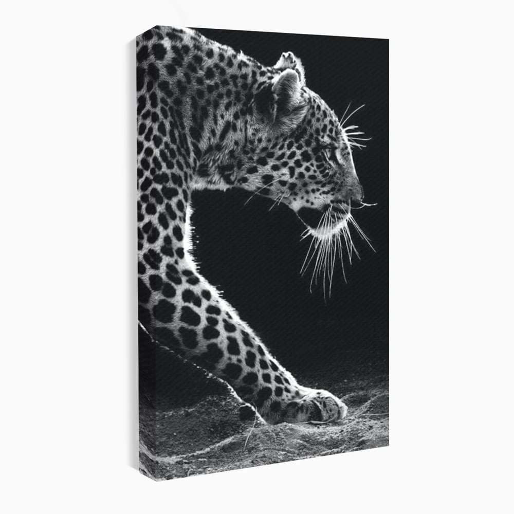 Tablou Canvas Premium, LuxCanva® M1178, Clipa de Atac, Leopard, Vanator, Salbatic, Alb si Negru, Profil, Felina, Portret, Atac, Realist, Puternic, Birou, Living, Camera Copil