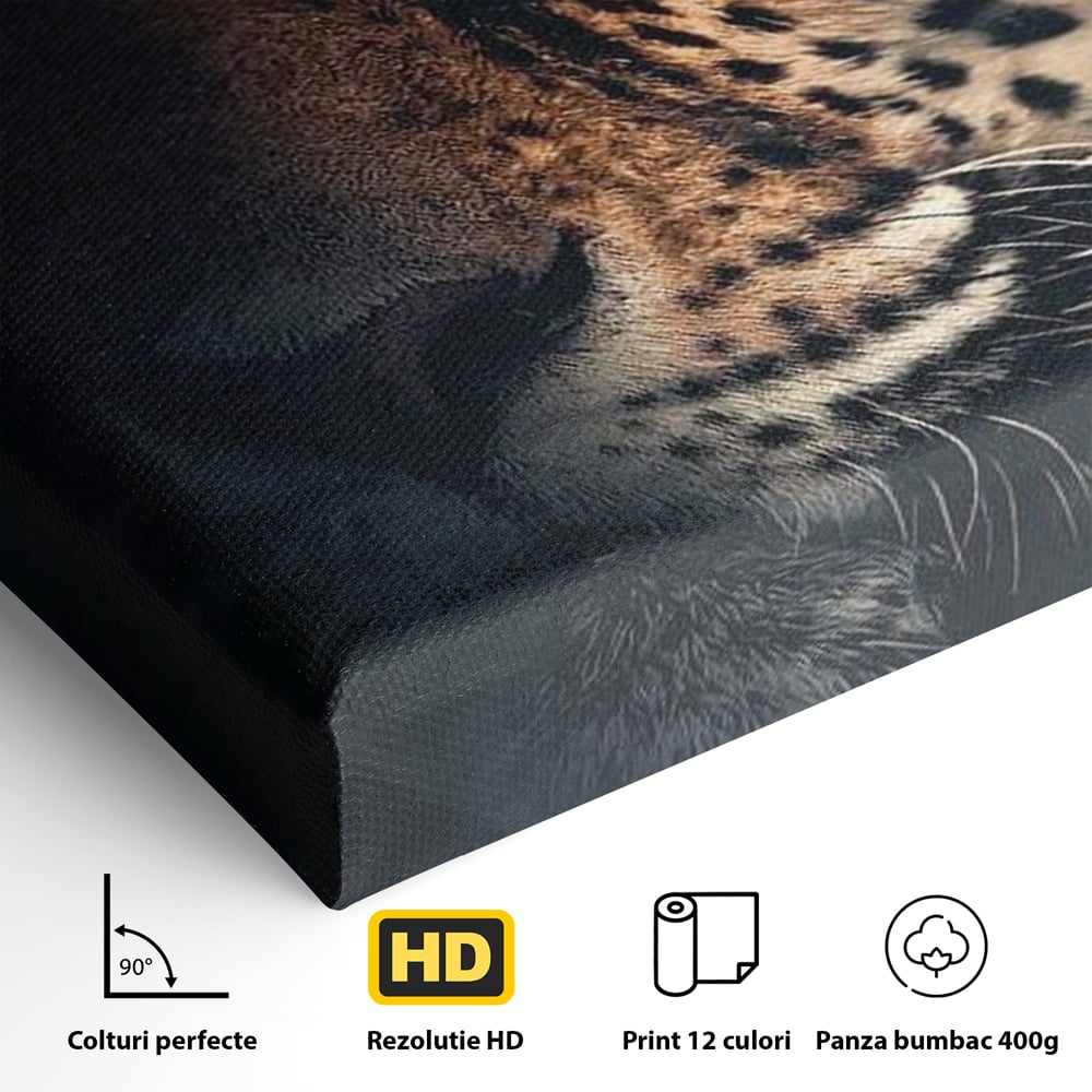 Leinwand Premium Canvas Wandkunst, LuxCanva® M1179, Wilde Eleganz, Jaguar, Blick, Porträt, Feline, Augen, Realistisch, Dschungel, Schatten, Natur, Instinkt, Regal, Büro, Wohnen, Kinderzimmer