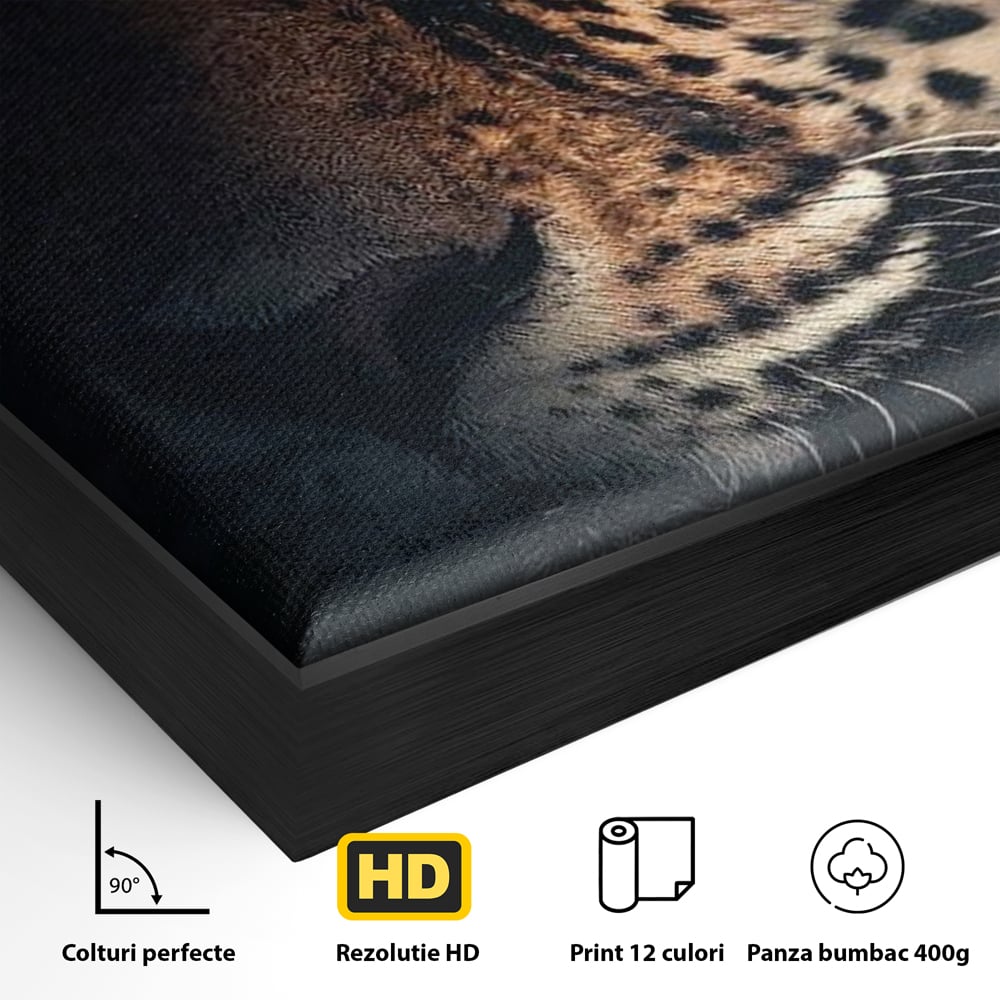 Leinwand Premium Canvas Wandkunst, LuxCanva® M1179, Wilde Eleganz, Jaguar, Blick, Porträt, Feline, Augen, Realistisch, Dschungel, Schatten, Natur, Instinkt, Regal, Büro, Wohnen, Kinderzimmer