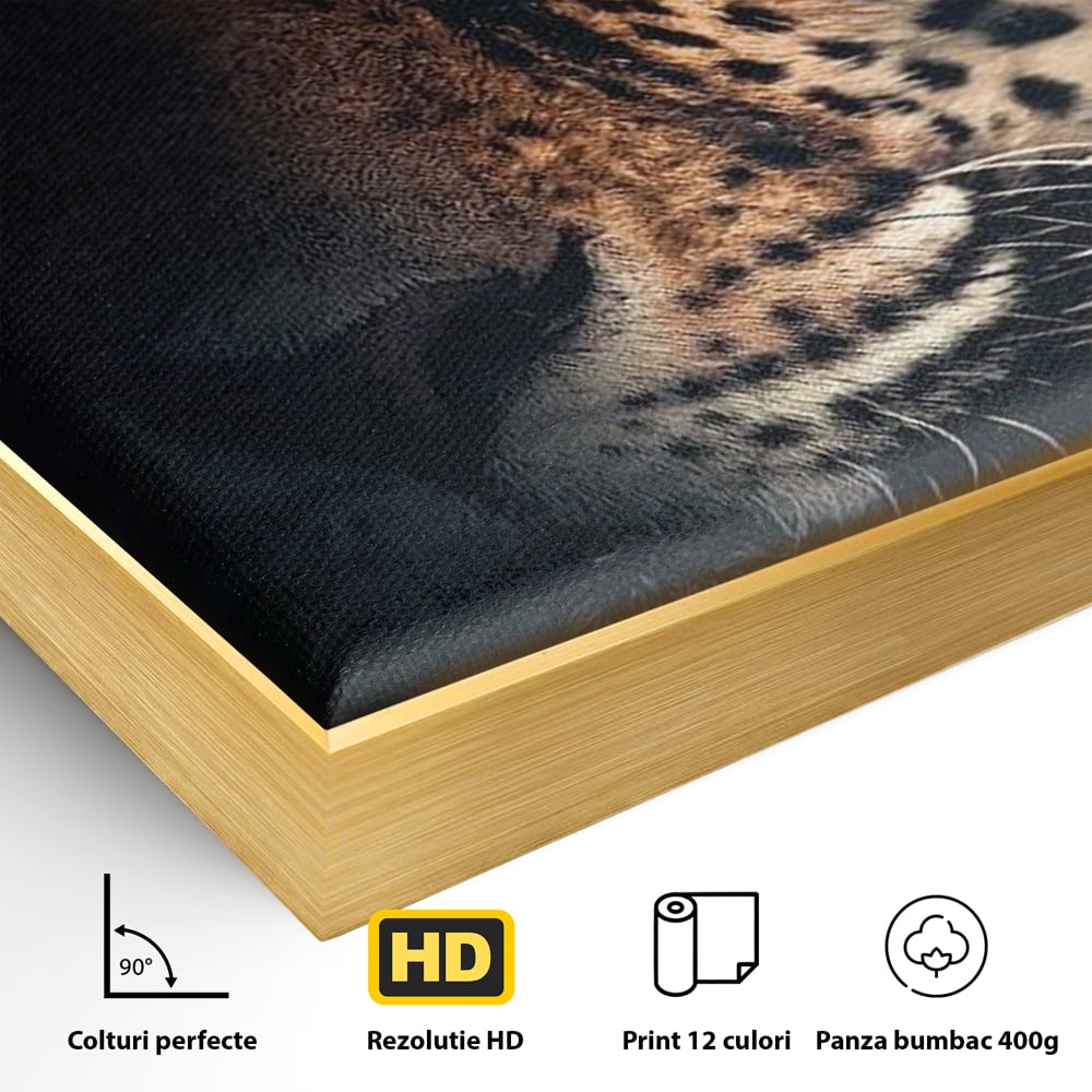 Leinwand Premium Canvas Wandkunst, LuxCanva® M1179, Wilde Eleganz, Jaguar, Blick, Porträt, Feline, Augen, Realistisch, Dschungel, Schatten, Natur, Instinkt, Regal, Büro, Wohnen, Kinderzimmer