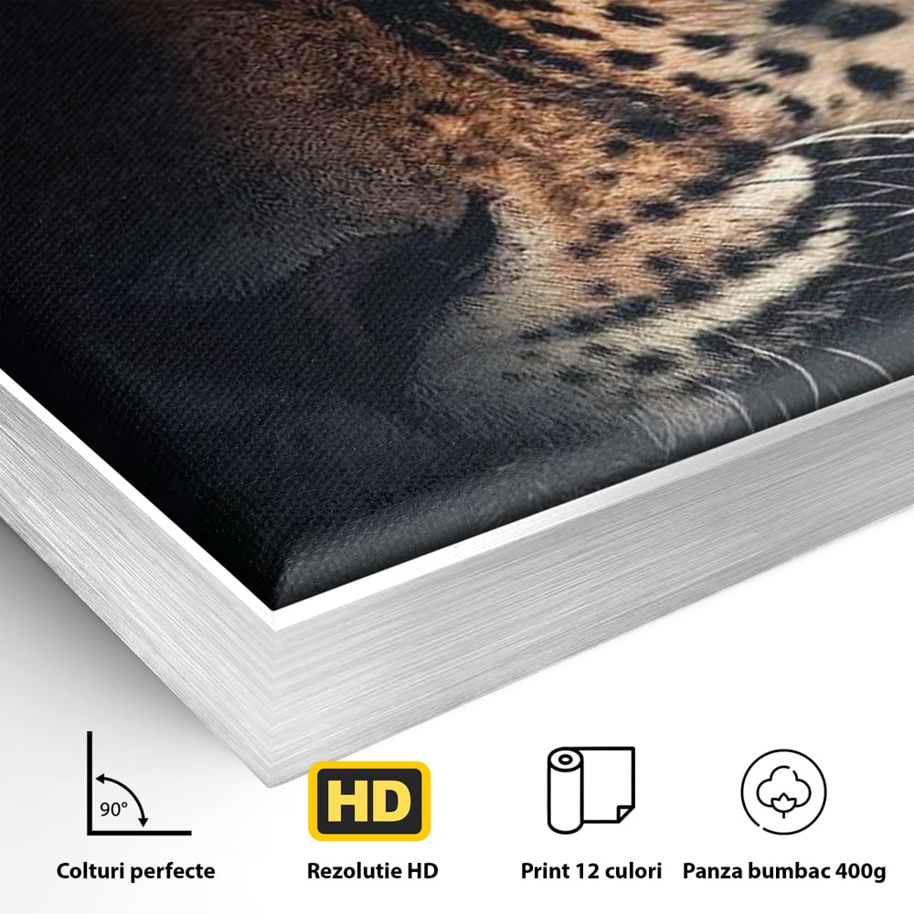 Leinwand Premium Canvas Wandkunst, LuxCanva® M1179, Wilde Eleganz, Jaguar, Blick, Porträt, Feline, Augen, Realistisch, Dschungel, Schatten, Natur, Instinkt, Regal, Büro, Wohnen, Kinderzimmer