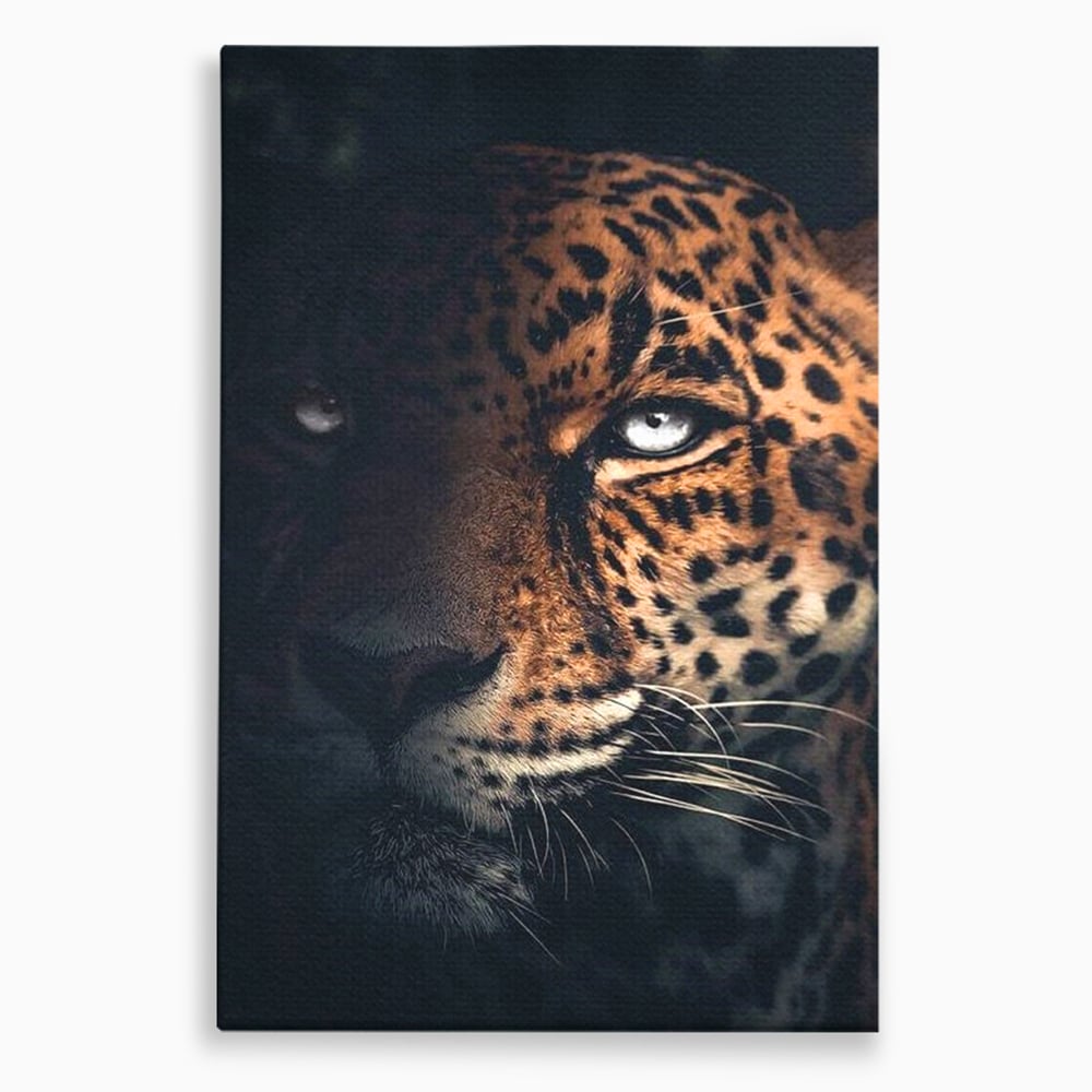 Leinwand Premium Canvas Wandkunst, LuxCanva® M1179, Wilde Eleganz, Jaguar, Blick, Porträt, Feline, Augen, Realistisch, Dschungel, Schatten, Natur, Instinkt, Regal, Büro, Wohnen, Kinderzimmer