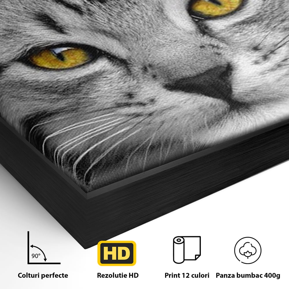 Tablou Canvas Premium, LuxCanva® M1180, Scanteia Inocentei, Ochi, Felina, Pisica, Copilarie, Mic, Inocent, Dragalas, Privire, Blana, Alb si Negru, Animal, Birou, Living, Camera Copil