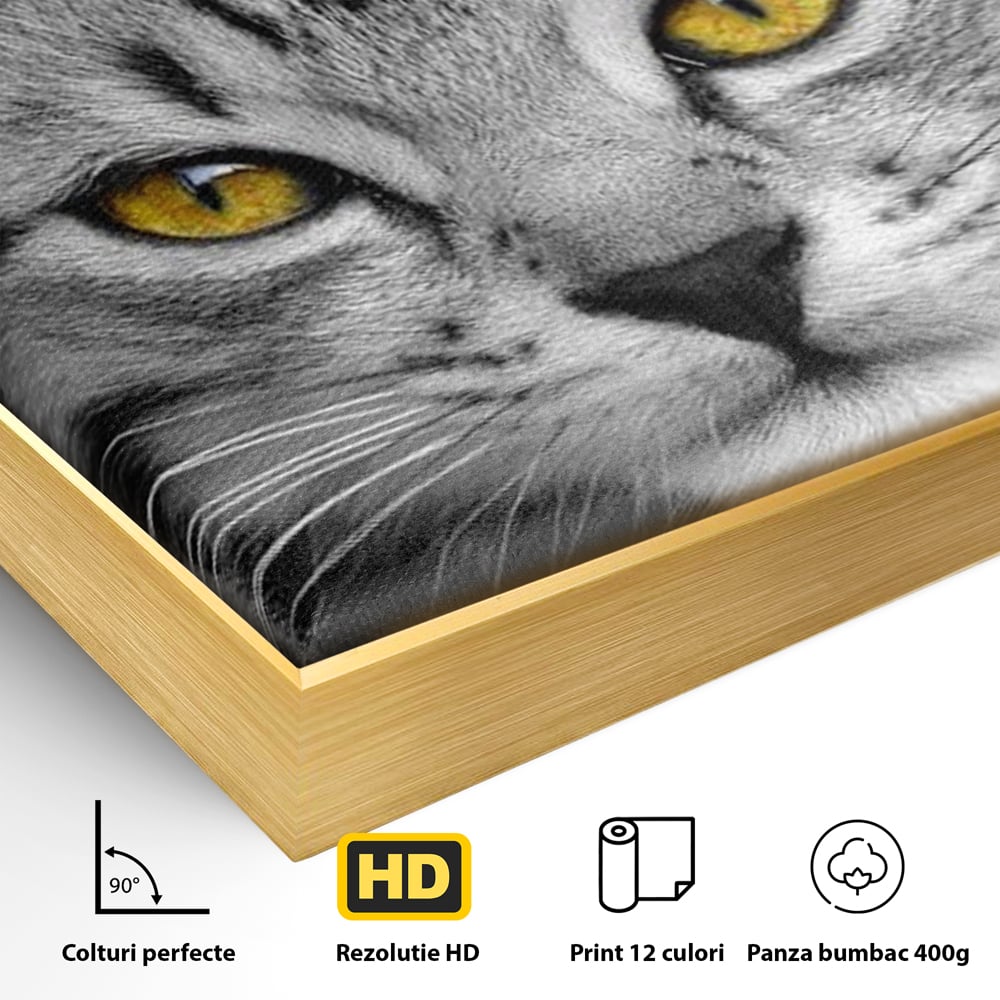 Tablou Canvas Premium, LuxCanva® M1180, Scanteia Inocentei, Ochi, Felina, Pisica, Copilarie, Mic, Inocent, Dragalas, Privire, Blana, Alb si Negru, Animal, Birou, Living, Camera Copil