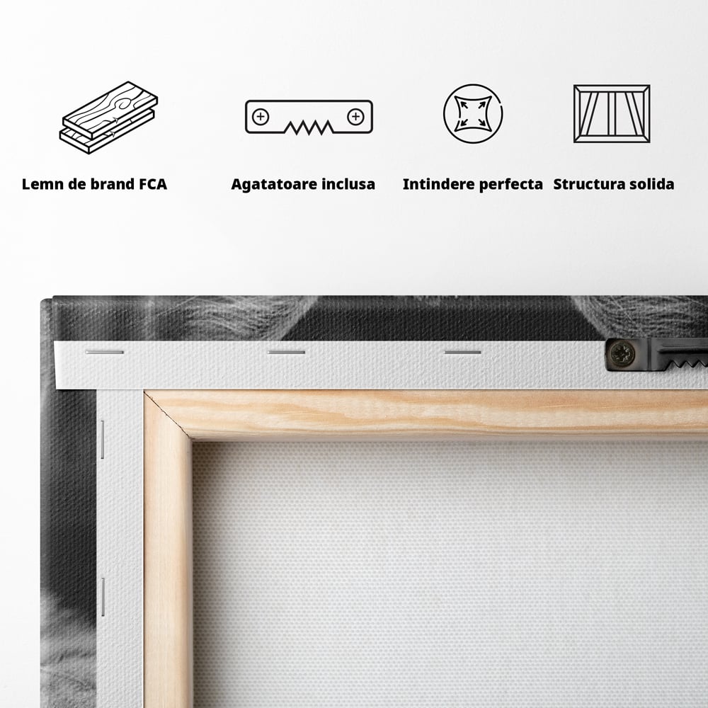 Tablou Canvas Premium, LuxCanva® M1180, Scanteia Inocentei, Ochi, Felina, Pisica, Copilarie, Mic, Inocent, Dragalas, Privire, Blana, Alb si Negru, Animal, Birou, Living, Camera Copil