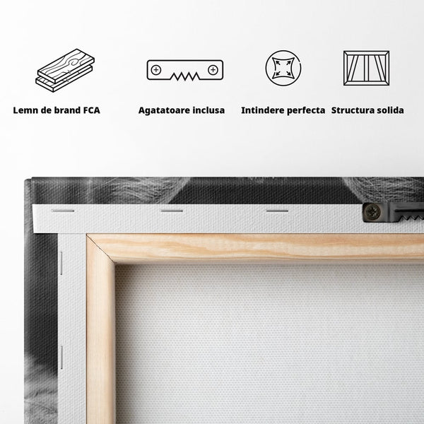 Tablou Canvas Premium, LuxCanva® M1180, Scanteia Inocentei, Ochi, Felina, Pisica, Copilarie, Mic, Inocent, Dragalas, Privire, Blana, Alb si Negru, Animal, Birou, Living, Camera Copil