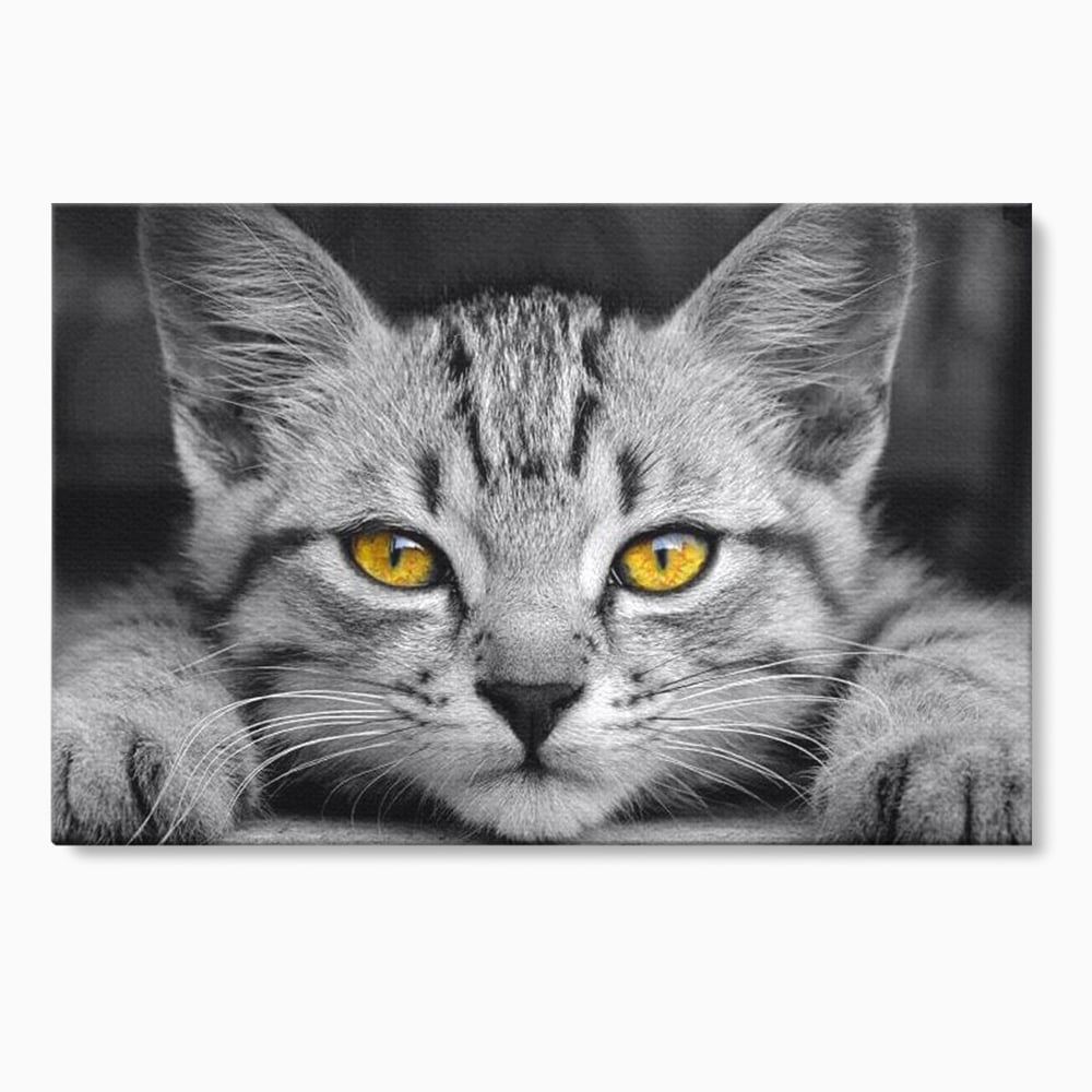 Tablou Canvas Premium, LuxCanva® M1180, Scanteia Inocentei, Ochi, Felina, Pisica, Copilarie, Mic, Inocent, Dragalas, Privire, Blana, Alb si Negru, Animal, Birou, Living, Camera Copil