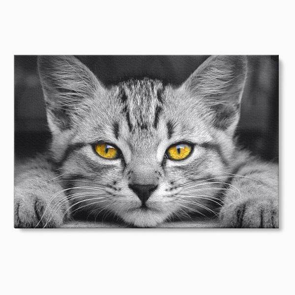 Tablou Canvas Premium, LuxCanva® M1180, Scanteia Inocentei, Ochi, Felina, Pisica, Copilarie, Mic, Inocent, Dragalas, Privire, Blana, Alb si Negru, Animal, Birou, Living, Camera Copil