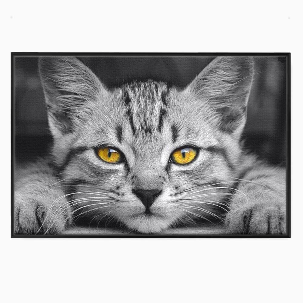 Tablou Canvas Premium, LuxCanva® M1180, Scanteia Inocentei, Ochi, Felina, Pisica, Copilarie, Mic, Inocent, Dragalas, Privire, Blana, Alb si Negru, Animal, Birou, Living, Camera Copil