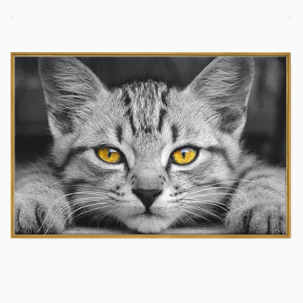 Tablou Canvas Premium, LuxCanva® M1180, Scanteia Inocentei, Ochi, Felina, Pisica, Copilarie, Mic, Inocent, Dragalas, Privire, Blana, Alb si Negru, Animal, Birou, Living, Camera Copil