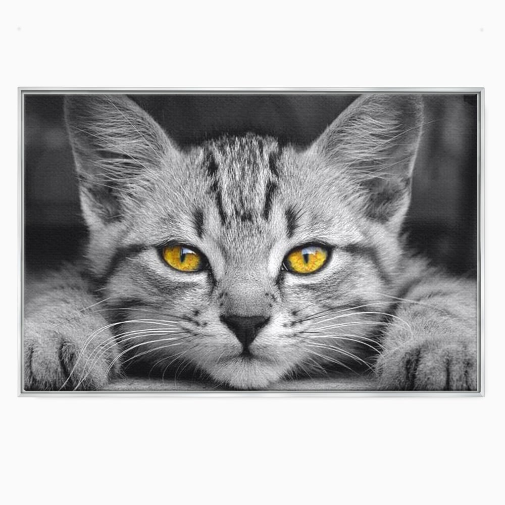 Tablou Canvas Premium, LuxCanva® M1180, Scanteia Inocentei, Ochi, Felina, Pisica, Copilarie, Mic, Inocent, Dragalas, Privire, Blana, Alb si Negru, Animal, Birou, Living, Camera Copil