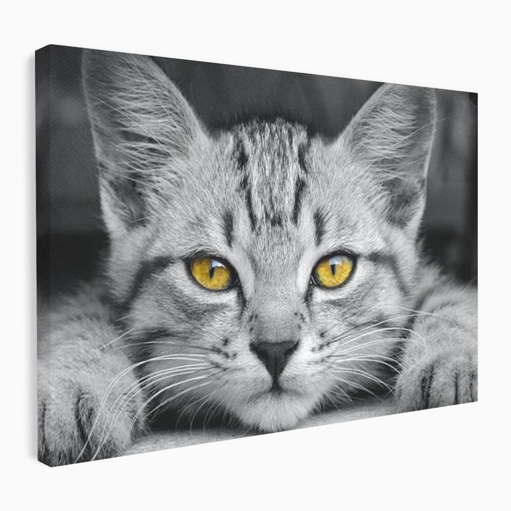 Tablou Canvas Premium, LuxCanva® M1180, Scanteia Inocentei, Ochi, Felina, Pisica, Copilarie, Mic, Inocent, Dragalas, Privire, Blana, Alb si Negru, Animal, Birou, Living, Camera Copil
