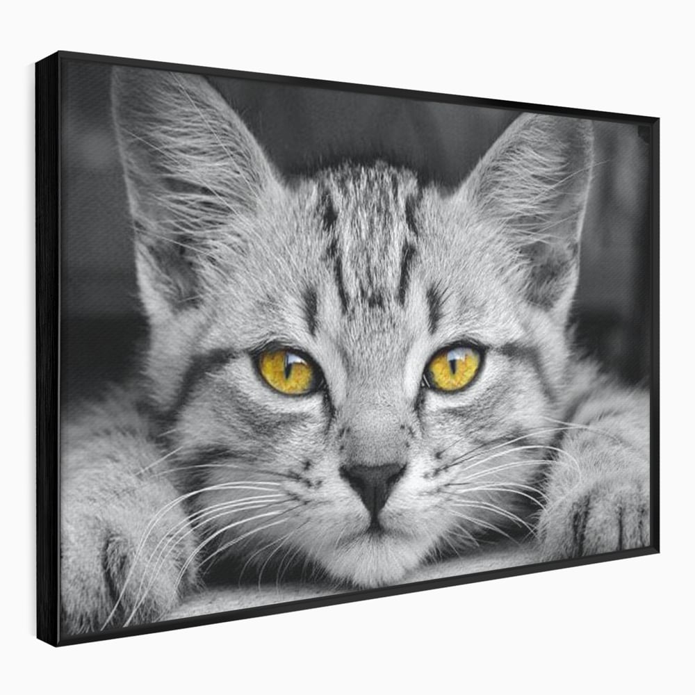 Tablou Canvas Premium, LuxCanva® M1180, Scanteia Inocentei, Ochi, Felina, Pisica, Copilarie, Mic, Inocent, Dragalas, Privire, Blana, Alb si Negru, Animal, Birou, Living, Camera Copil