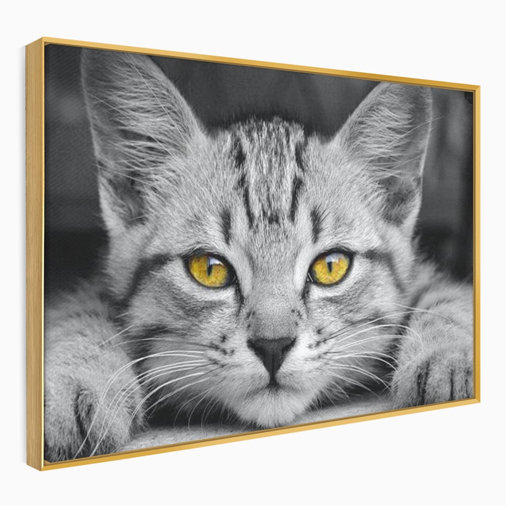 Tablou Canvas Premium, LuxCanva® M1180, Scanteia Inocentei, Ochi, Felina, Pisica, Copilarie, Mic, Inocent, Dragalas, Privire, Blana, Alb si Negru, Animal, Birou, Living, Camera Copil