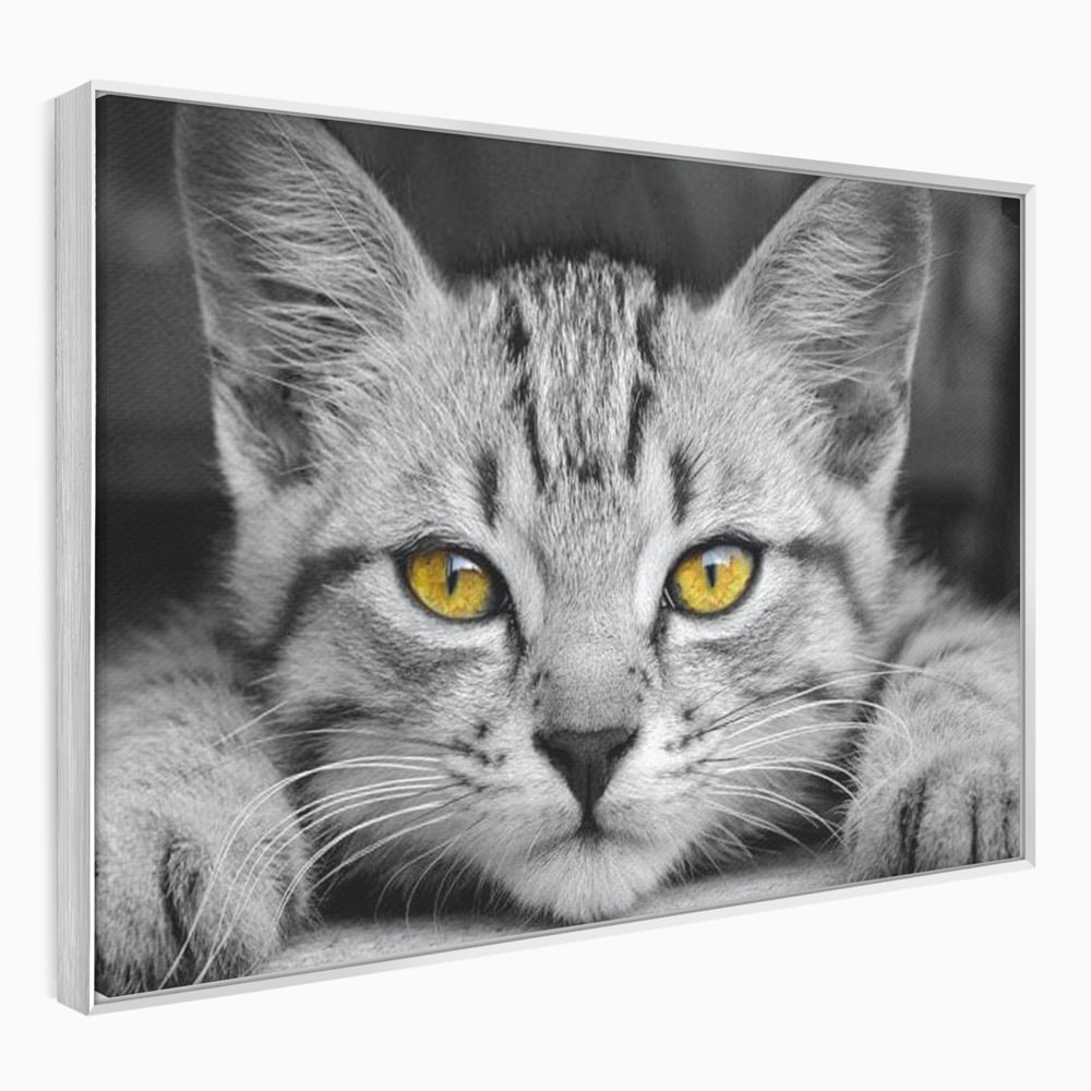 Tablou Canvas Premium, LuxCanva® M1180, Scanteia Inocentei, Ochi, Felina, Pisica, Copilarie, Mic, Inocent, Dragalas, Privire, Blana, Alb si Negru, Animal, Birou, Living, Camera Copil