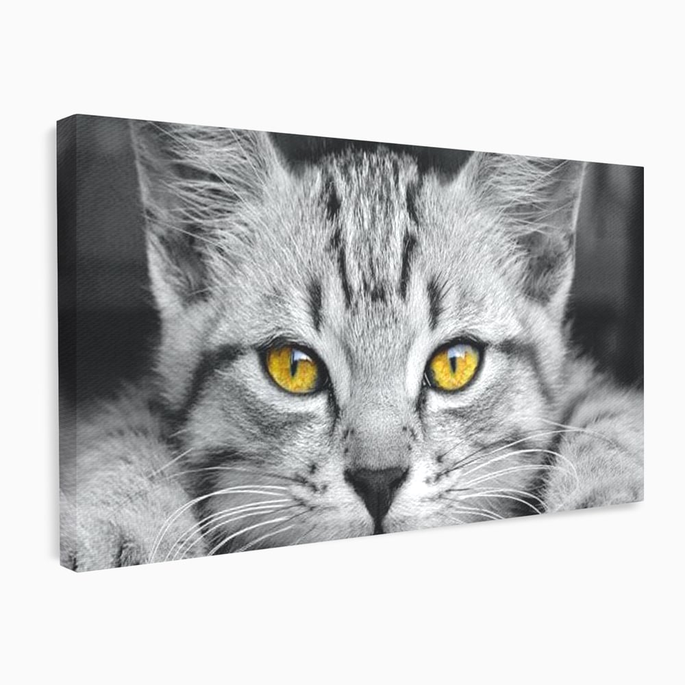Tablou Canvas Premium, LuxCanva® M1180, Scanteia Inocentei, Ochi, Felina, Pisica, Copilarie, Mic, Inocent, Dragalas, Privire, Blana, Alb si Negru, Animal, Birou, Living, Camera Copil