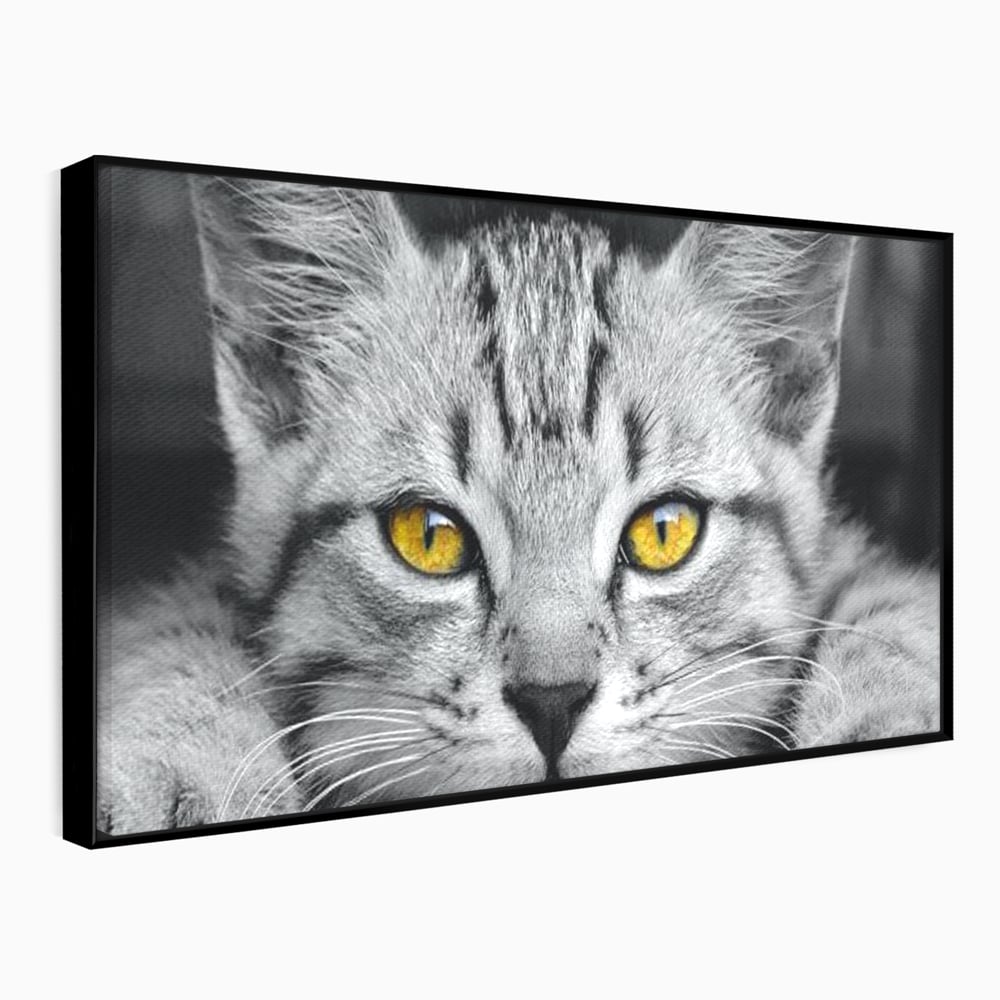 Tablou Canvas Premium, LuxCanva® M1180, Scanteia Inocentei, Ochi, Felina, Pisica, Copilarie, Mic, Inocent, Dragalas, Privire, Blana, Alb si Negru, Animal, Birou, Living, Camera Copil