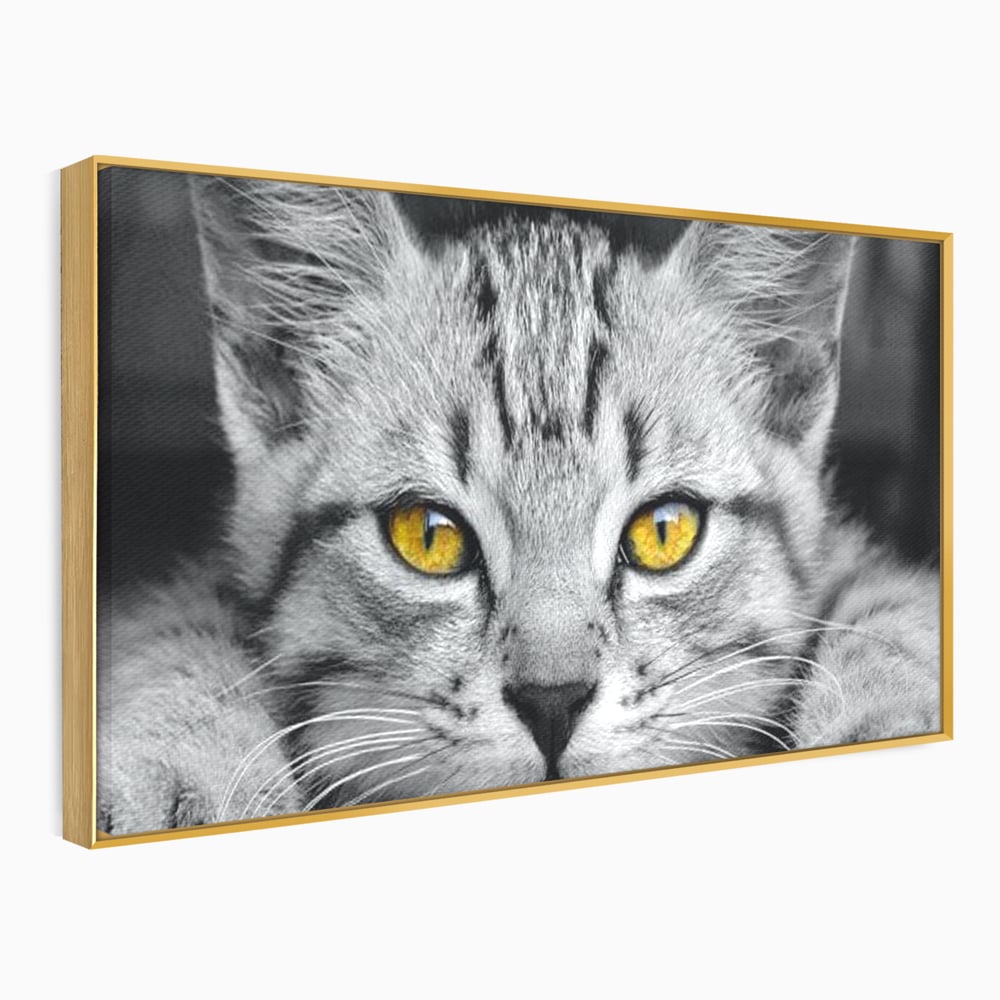 Tablou Canvas Premium, LuxCanva® M1180, Scanteia Inocentei, Ochi, Felina, Pisica, Copilarie, Mic, Inocent, Dragalas, Privire, Blana, Alb si Negru, Animal, Birou, Living, Camera Copil