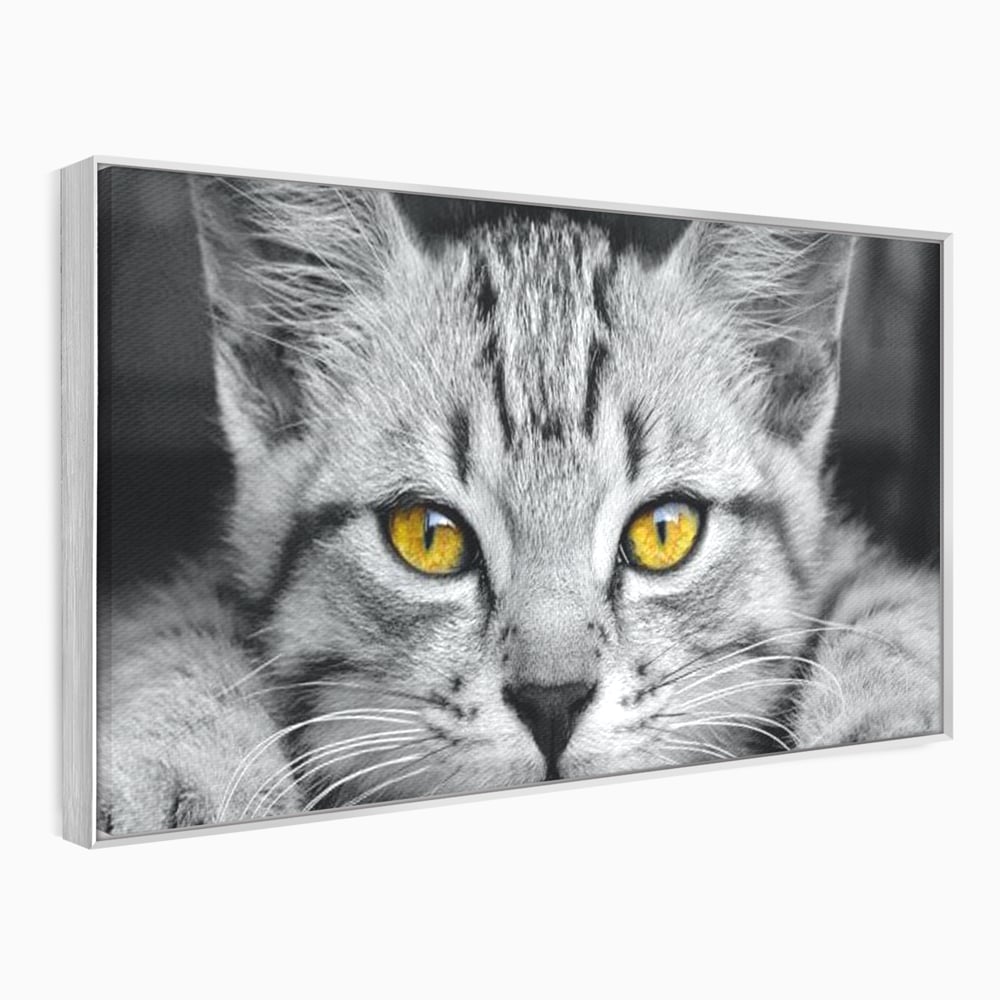 Tablou Canvas Premium, LuxCanva® M1180, Scanteia Inocentei, Ochi, Felina, Pisica, Copilarie, Mic, Inocent, Dragalas, Privire, Blana, Alb si Negru, Animal, Birou, Living, Camera Copil