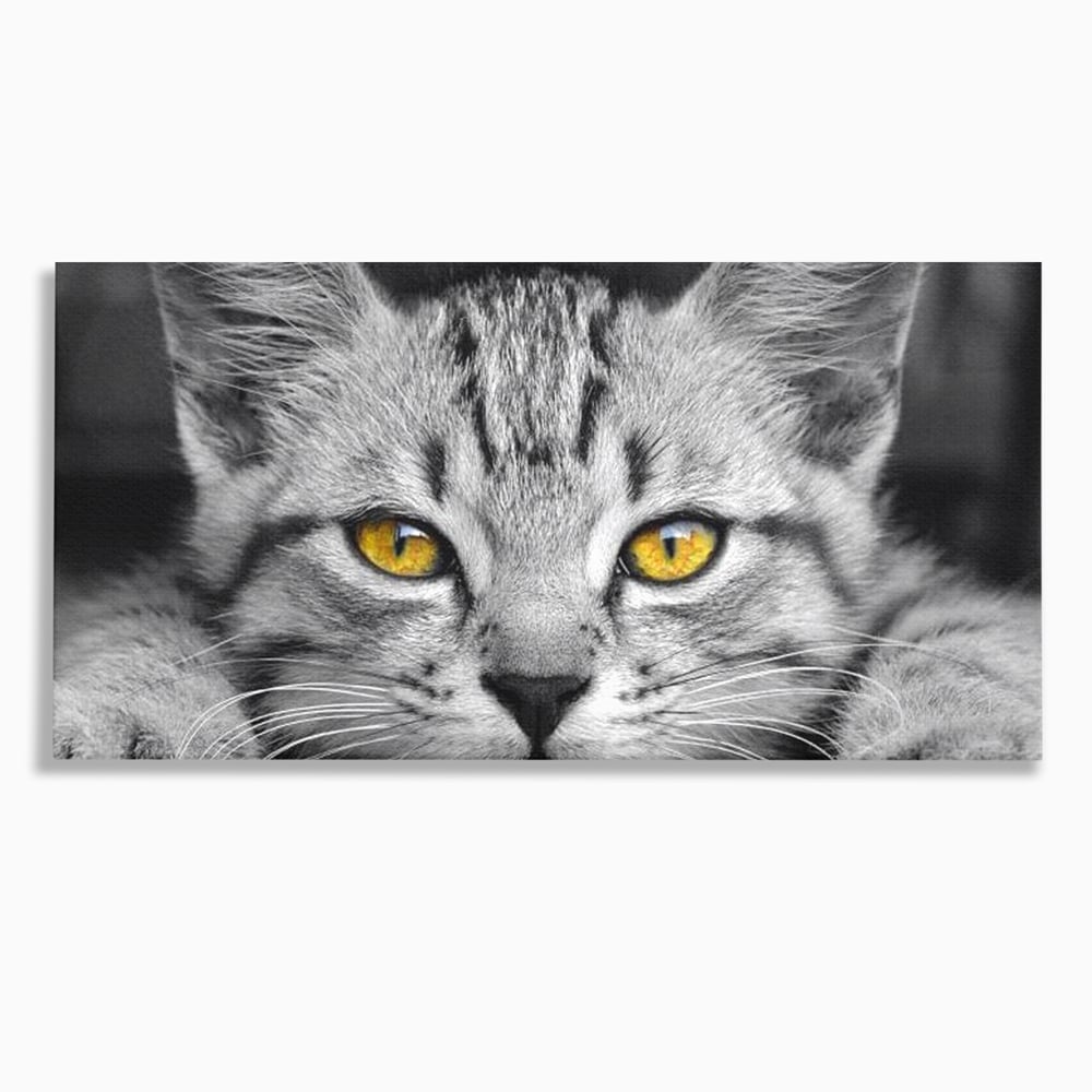 Tablou Canvas Premium, LuxCanva® M1180, Scanteia Inocentei, Ochi, Felina, Pisica, Copilarie, Mic, Inocent, Dragalas, Privire, Blana, Alb si Negru, Animal, Birou, Living, Camera Copil