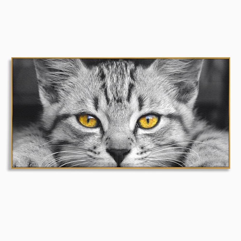 Tablou Canvas Premium, LuxCanva® M1180, Scanteia Inocentei, Ochi, Felina, Pisica, Copilarie, Mic, Inocent, Dragalas, Privire, Blana, Alb si Negru, Animal, Birou, Living, Camera Copil