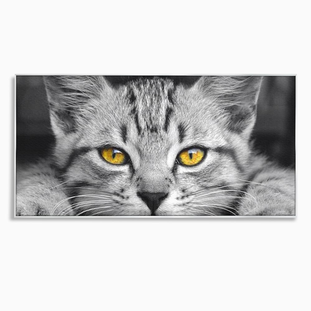 Tablou Canvas Premium, LuxCanva® M1180, Scanteia Inocentei, Ochi, Felina, Pisica, Copilarie, Mic, Inocent, Dragalas, Privire, Blana, Alb si Negru, Animal, Birou, Living, Camera Copil