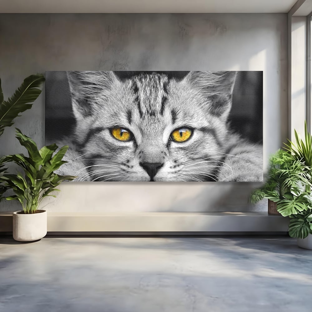 Tablou Canvas Premium, LuxCanva® M1180, Scanteia Inocentei, Ochi, Felina, Pisica, Copilarie, Mic, Inocent, Dragalas, Privire, Blana, Alb si Negru, Animal, Birou, Living, Camera Copil