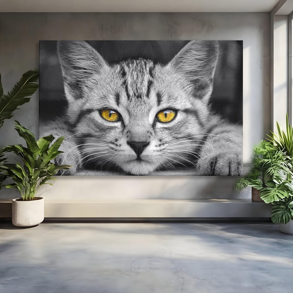 Tablou Canvas Premium, LuxCanva® M1180, Scanteia Inocentei, Ochi, Felina, Pisica, Copilarie, Mic, Inocent, Dragalas, Privire, Blana, Alb si Negru, Animal, Birou, Living, Camera Copil