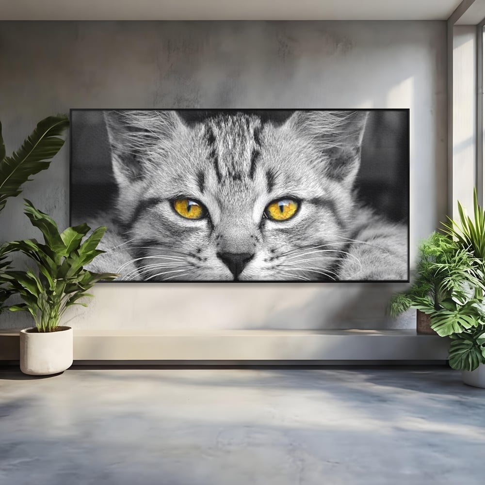 Tablou Canvas Premium, LuxCanva® M1180, Scanteia Inocentei, Ochi, Felina, Pisica, Copilarie, Mic, Inocent, Dragalas, Privire, Blana, Alb si Negru, Animal, Birou, Living, Camera Copil