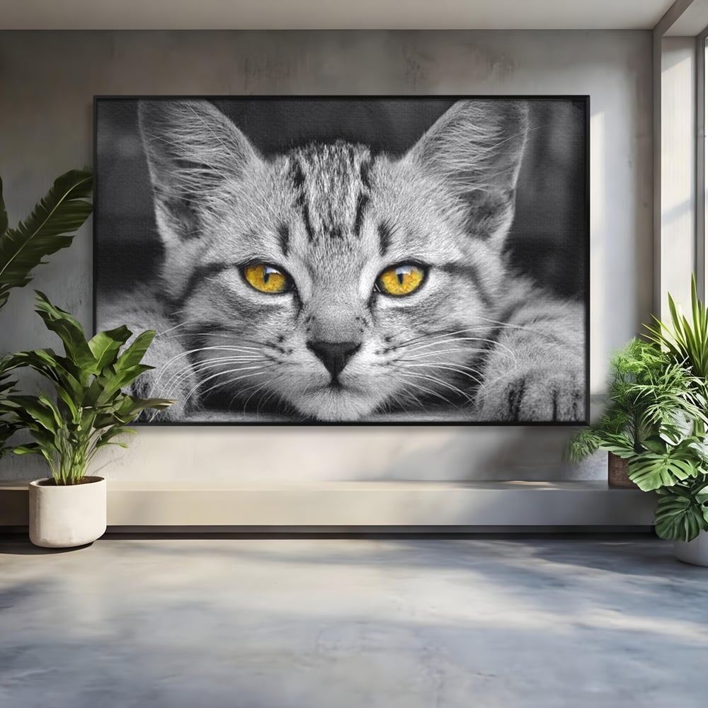 Tablou Canvas Premium, LuxCanva® M1180, Scanteia Inocentei, Ochi, Felina, Pisica, Copilarie, Mic, Inocent, Dragalas, Privire, Blana, Alb si Negru, Animal, Birou, Living, Camera Copil