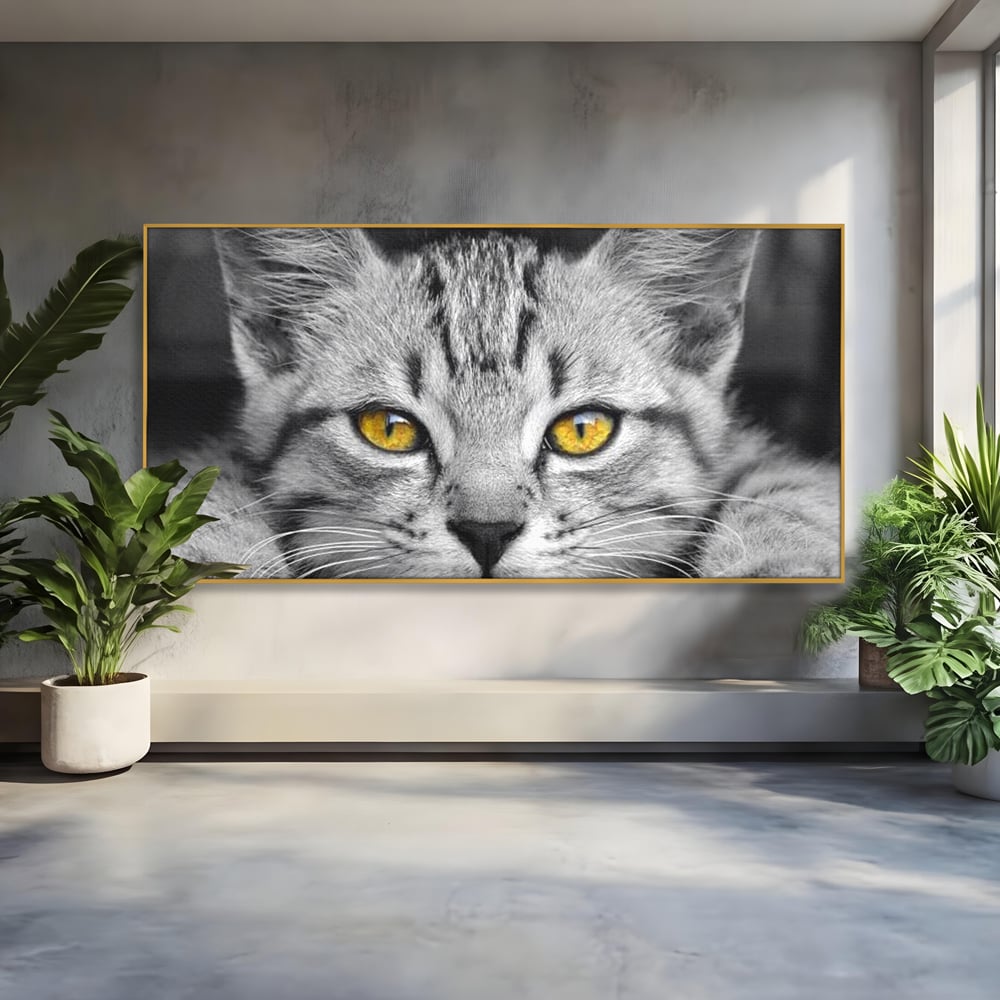 Tablou Canvas Premium, LuxCanva® M1180, Scanteia Inocentei, Ochi, Felina, Pisica, Copilarie, Mic, Inocent, Dragalas, Privire, Blana, Alb si Negru, Animal, Birou, Living, Camera Copil